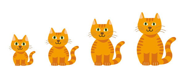 Isolated Vector graphic illustration of a cute smiling orange cartoon cat with green eyes growing up including a set of different ages