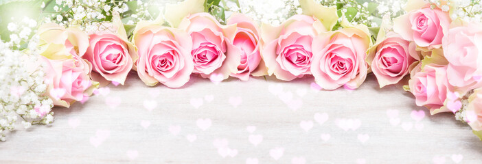 Pink roses and gypsophila, greeting card for Valentine's Day, banner