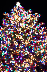 Illuminated Christmas Tree
