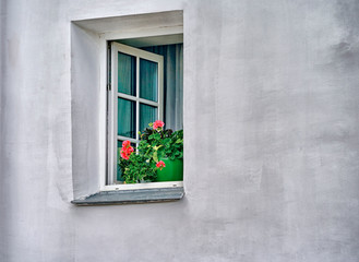 Open window with a geranium in the green pot.