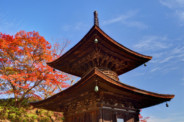 善峯寺の多宝塔