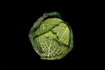  Green cabbage on black background