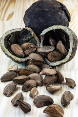 Brazil nut, with shell. Culinary ingredient from brazil. The Brazil nut is called 