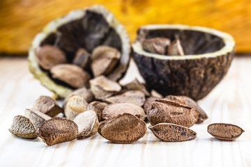 Fototapeta na wymiar Brazil nut, with shell. Culinary ingredient from brazil. The Brazil nut is called 