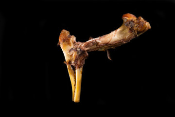  Big bone on black background