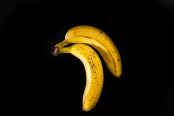  Banana duo on a black background © Natura