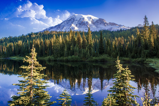 2010 Mt Ranier