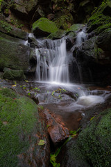 waterfall in the forest