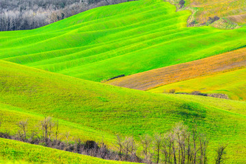 Tuscany, Crete Senesi rural sunset landscape. Countryside farm, cypresses trees, green field, sun light hitting the hill. Siena, Italy.	