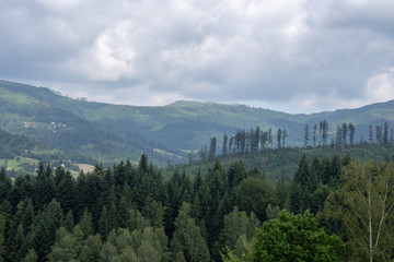 Mountain landscape in spring.