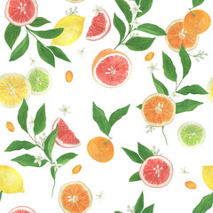 Watercolor painting seamless pattern with citrus fruits: lemon, lime, grapefruit, orange.