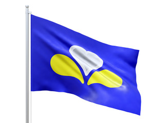 Brussels-Capital (Region of Belgium) flag waving on white background, close up, isolated. 3D render