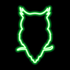 Green neon sign owl sitting on a branch