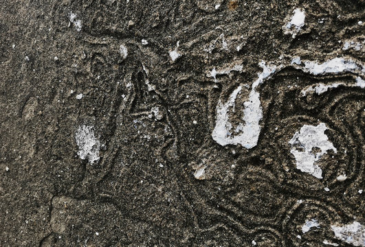 Nature damaged concreet wall.