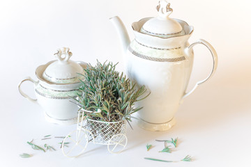 White miniature Bicycle decorated with green lavender branches on a white background. White forfor teapot and sugar bowl