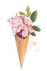 Waffle cone with pink pelargonium and roses with leaves on a white background with shadow concept of abundance bouquet flower in a small horn concept of fertility. vintage tones