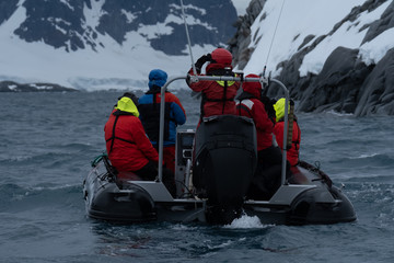 Whale watching, Damoy Point, a headland, entrance point to the harbour of Port Lockroy, Antarctic Peninsula, Antarctica