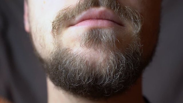 A man combing his beard with a comb in the studio