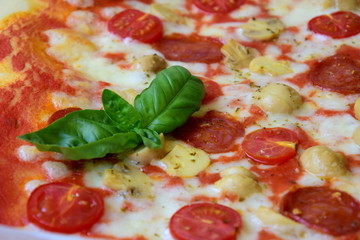 Pizza mit Champignon, Salami und Tomaten