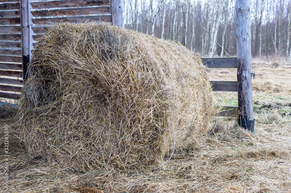 Wall mural rolled up straw in a bale 2