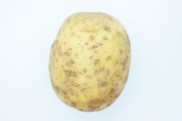 Potato tuber perched on a white background