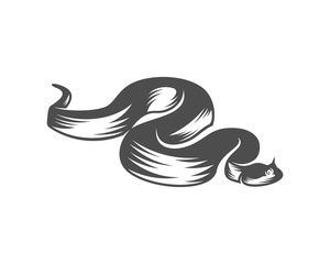 Viper snake logo design vector, Animal graphic, Snake design Template illustration