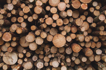 firewood stock