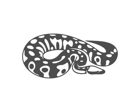 Python snake logo vector, Animal graphic, Snake design Template illustration
