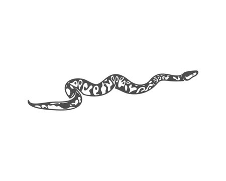 Python snake logo vector, Animal graphic, Snake design Template illustration