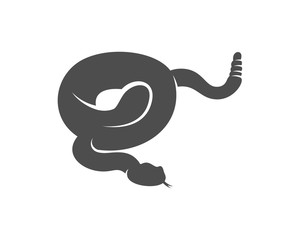 Fototapeta premium Viper snake logo design vector, Animal graphic, Snake design Template illustration