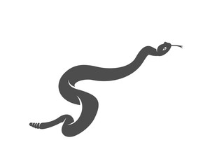Viper snake logo design vector, Animal graphic, Snake design Template illustration