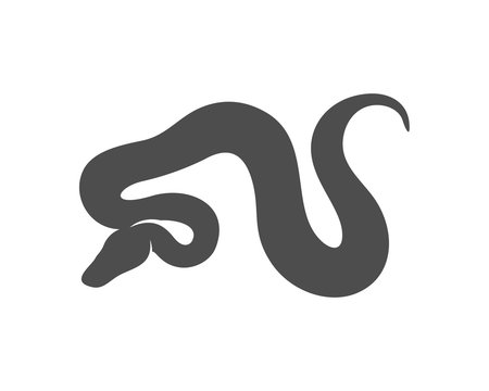 Python snake logo vector, Animal graphic, Snake design Template illustration