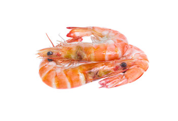Shrimp isolated on the white background