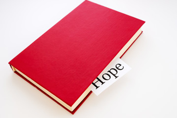 a leaf with the inscription hope sticks out of the red book