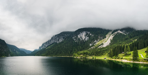 Austrian Alps, Gosauseen or Vorderer Gosausee lake in Austria, Europe. Foggy mountain summer landscape with evergreen forest on the slopes and cows grazing on lush green grass
