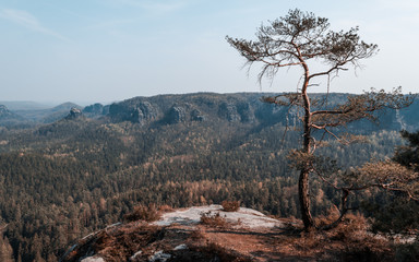 Wandern im Kirnitzschtal Sächsische Schweiz