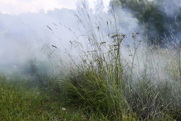 Smoky in the field from the burning grass in summer field
