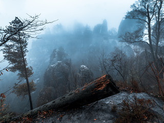 Nebel in Rathen Sächsische Schweiz