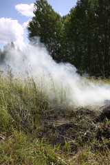 Smoky in the field from the burning grass in summer field