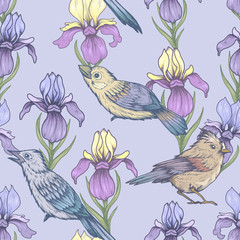 Obraz premium Seamless pattern with irises and birds