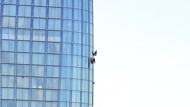 Two industrial climbers are cleaning glass facade of a modern office building in downtown