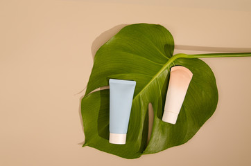 Beige tube with makeup foundation with green leaf of home plant lying on beige background