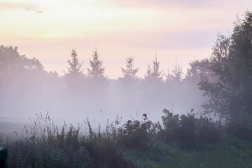 Evening mist on a field in countryside at summer.