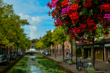 Delft, the netherlands, august 2019. The pretty and romantic canals, smaller than in Amsterdam. The aquatic plants create a green carpet, the bridges frame the flower boxes in warm and bright colors.