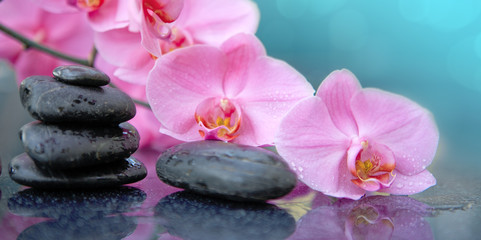 Naklejka na ściany i meble Pink orchid flower and spa stones with water drops isolated .
