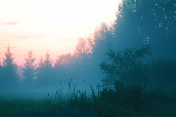 Evening mist on a field in countryside at summer.