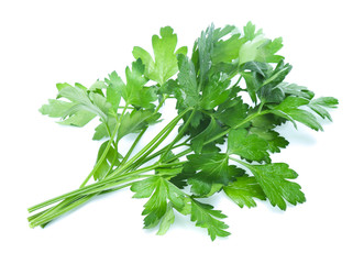 Parsley herb isolated on white background
