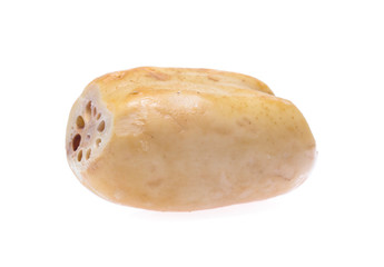 Lotus root  isolated on the white background