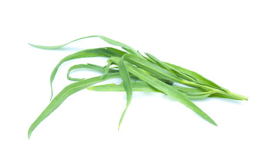 Tarragon herbs isolated on white