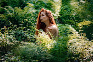 Fantasy Fairy Tale Forest, Fairytale Nature Goddess,